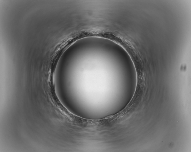 X0000092021349200709061545