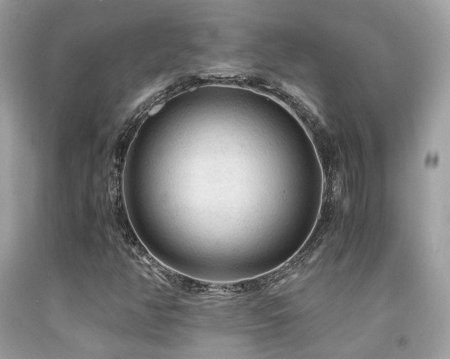 X0000092021350200709061545