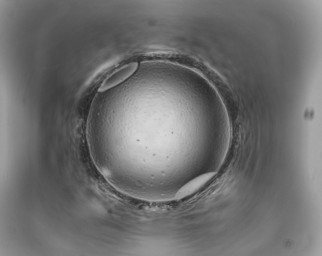 X0000092021351200709061545