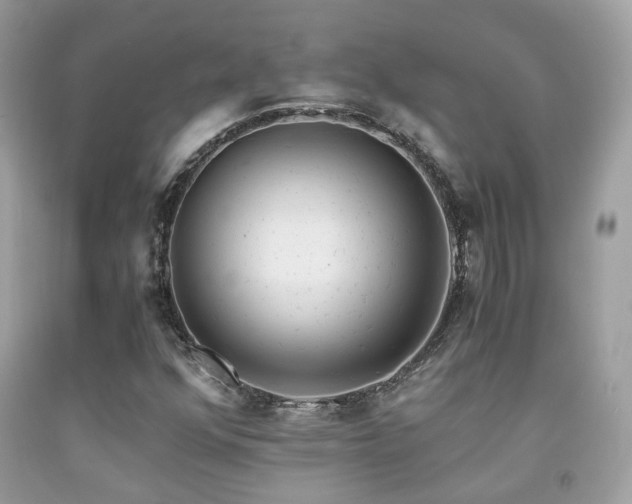X0000092021352200709061545