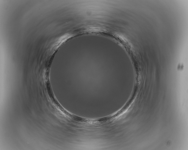 X0000092021353200709061545