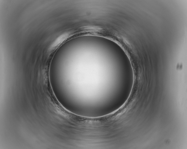 X0000092021354200709061545