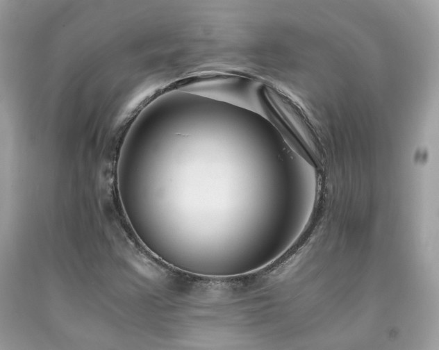 X0000092021355200709061545