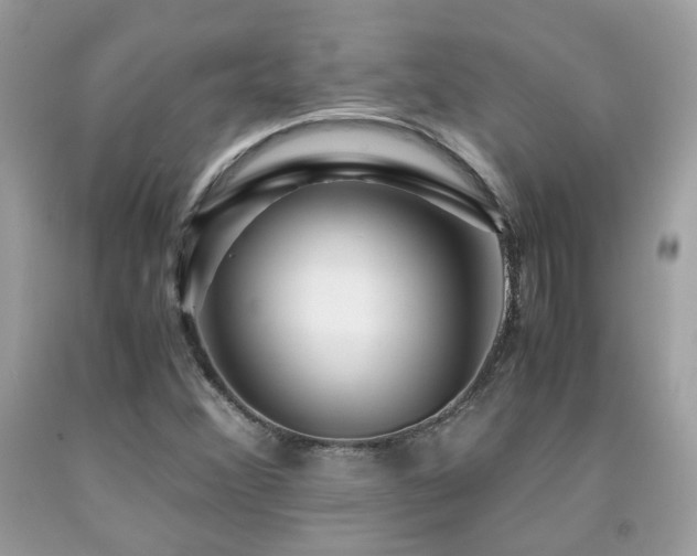 X0000092021356200709061545