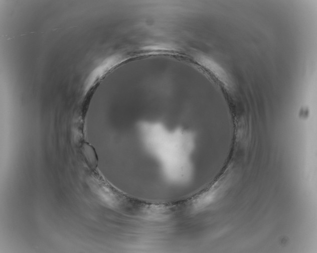 X0000092021357200709061545