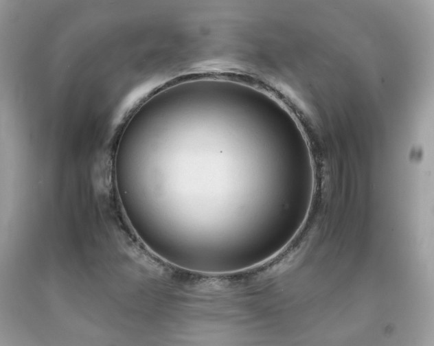 X0000092021358200709061545