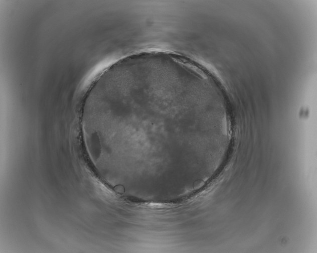 X0000092021359200709061545