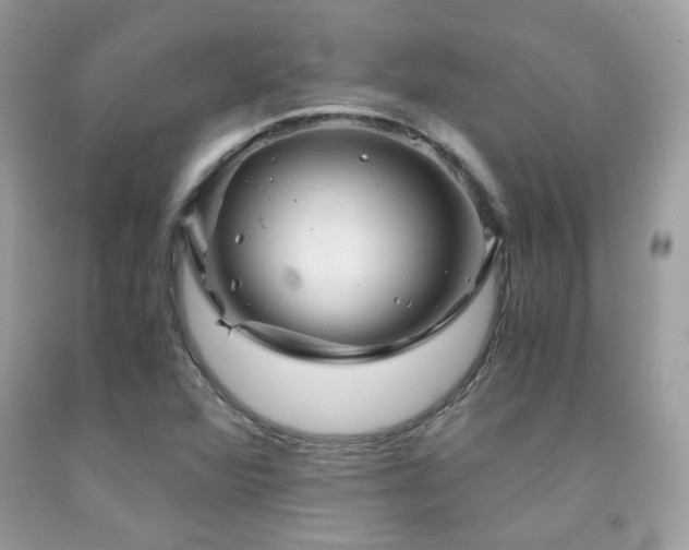 X0000092021360200709061545