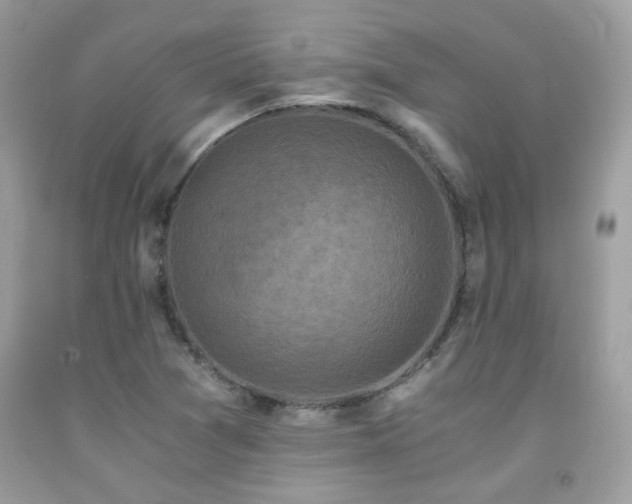 X0000092021361200709061544