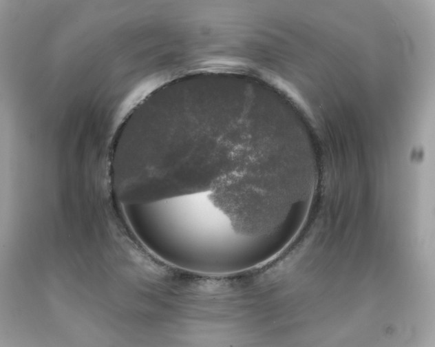 X0000092021362200709061544