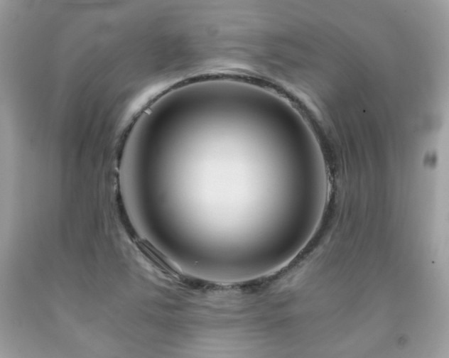 X0000092021363200709061544