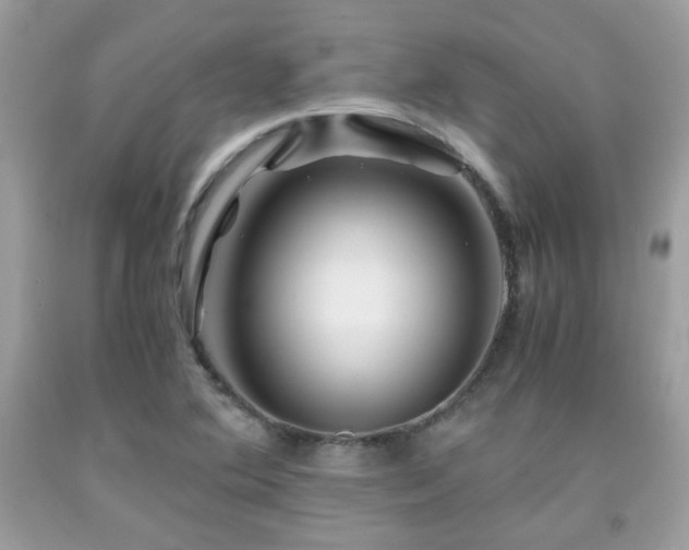 X0000092021364200709061544