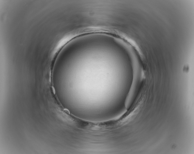 X0000092021365200709061544