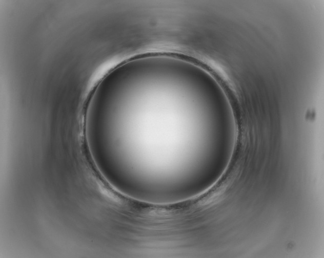 X0000092021366200709061544
