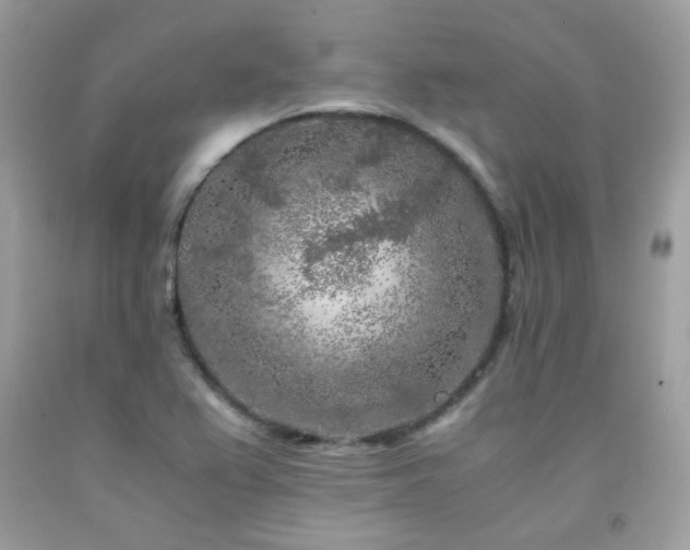 X0000092021367200709061544