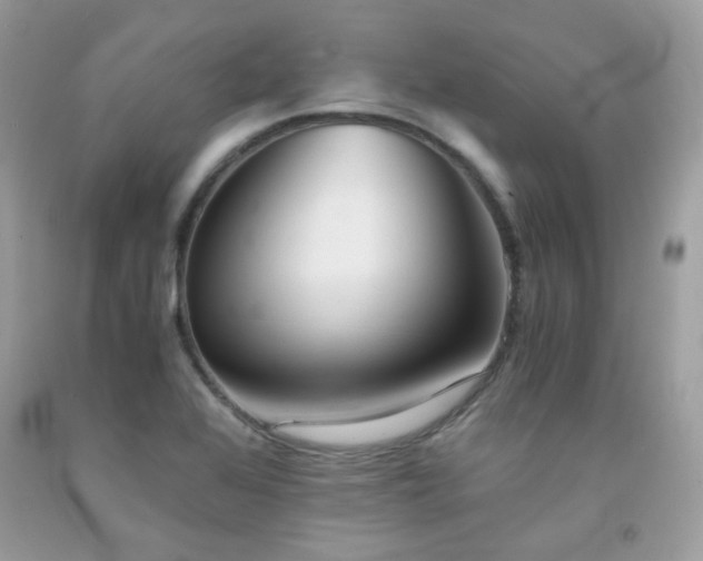 X0000092021368200709061544