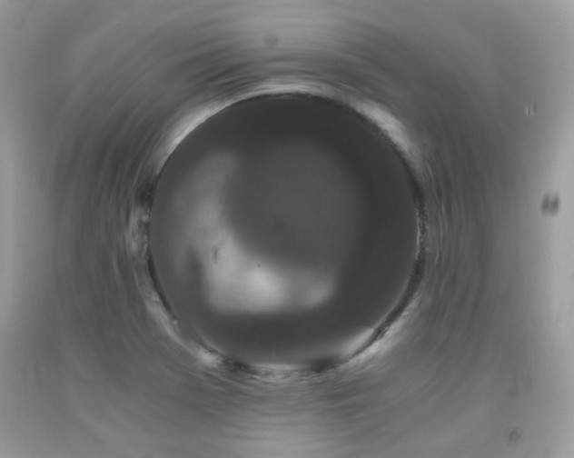 X0000092021369200709061544