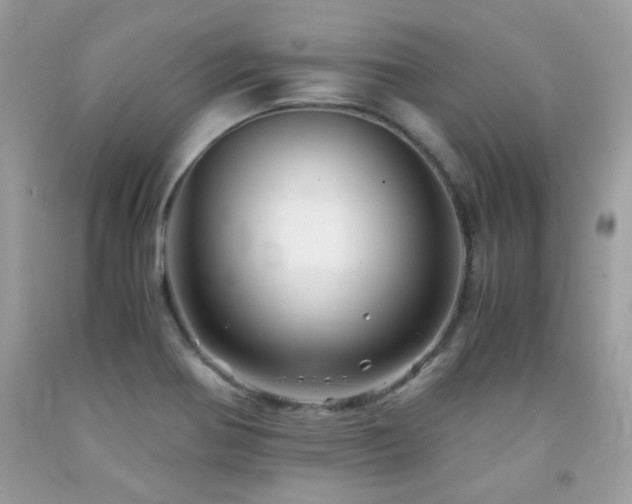 X0000092021370200709061544