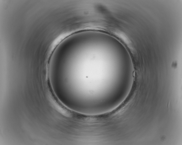 X0000092021371200709061544