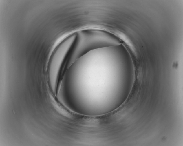 X0000092021372200709061544
