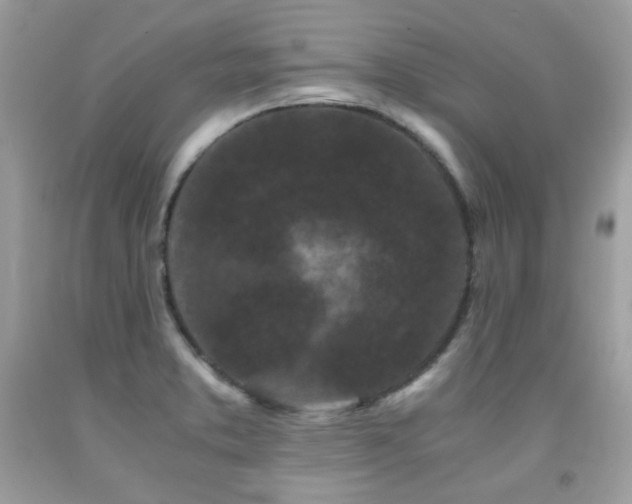 X0000092021373200709061544