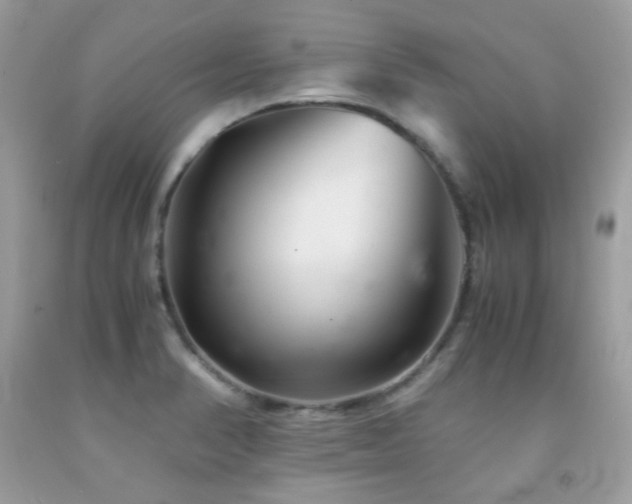 X0000092021374200709061544