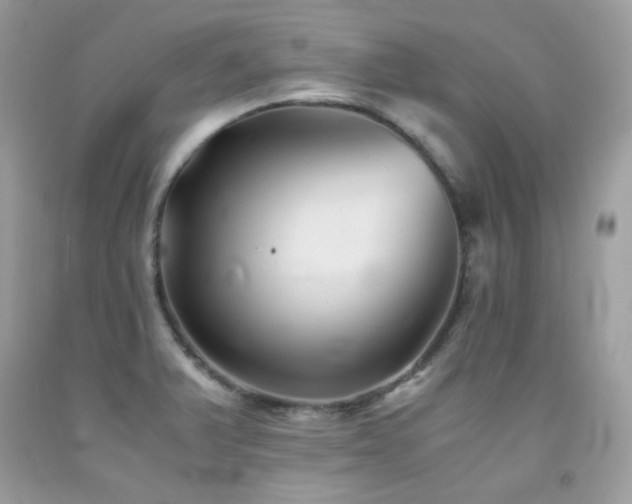 X0000092021375200709061544