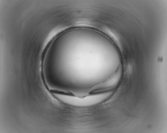 X0000092021376200709061544