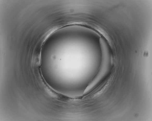 X0000092021377200709061544
