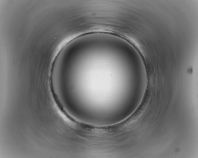 X0000092021379200709061544