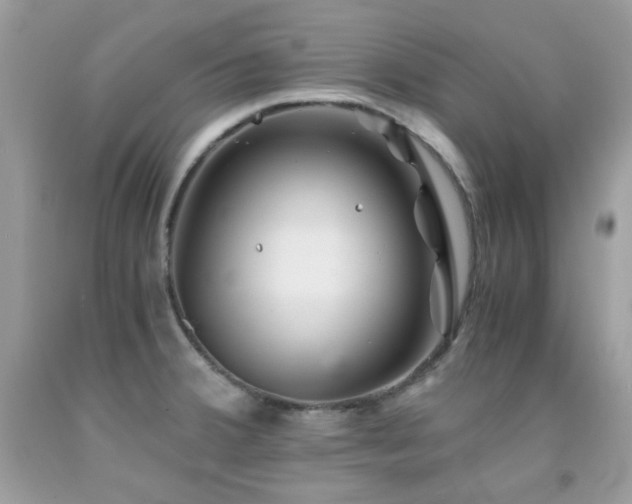 X0000092021380200709061544