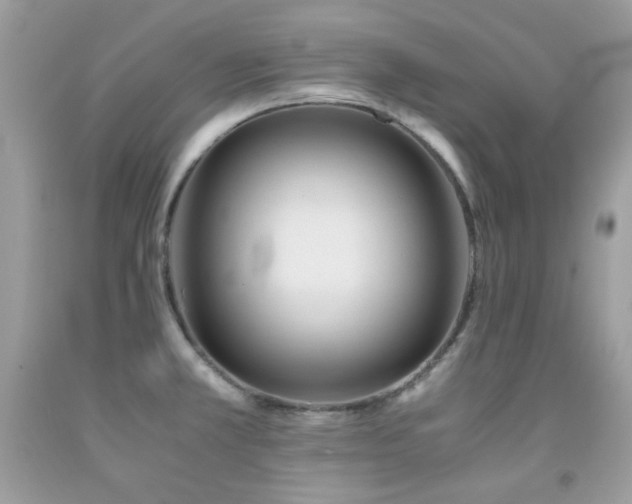 X0000092021381200709061544