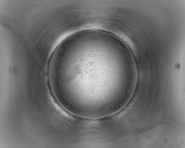 X0000092021382200709061544