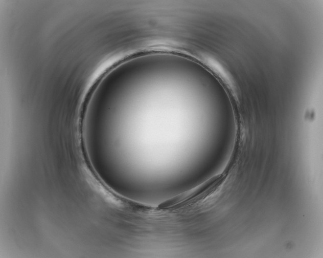 X0000092021384200709061544