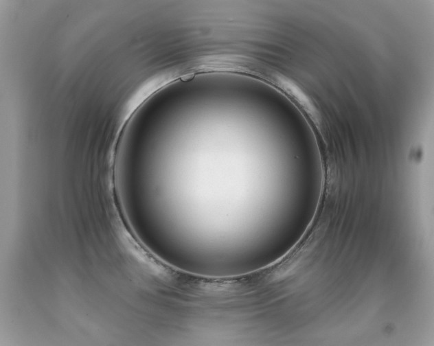 X0000092021386200709061544