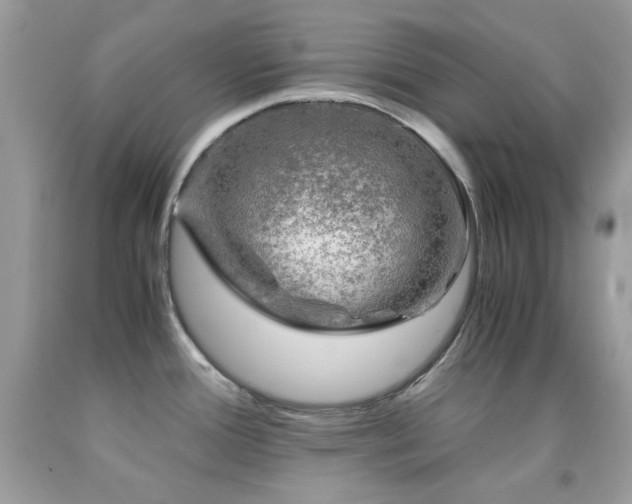 X0000092021388200709061544