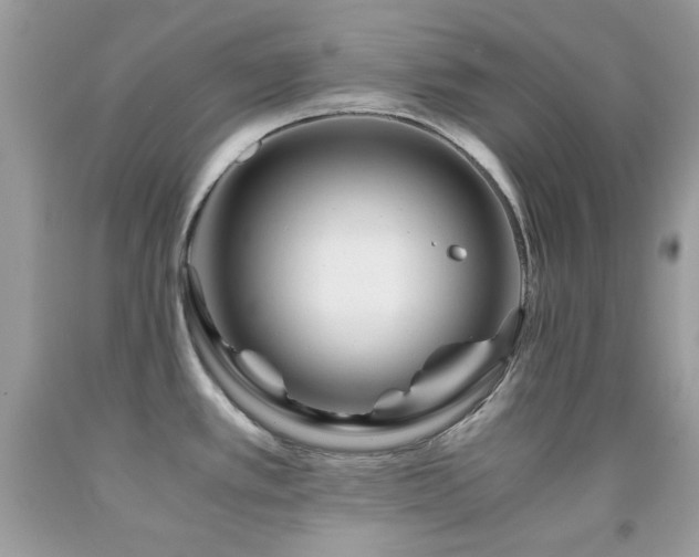X0000092021389200709061544