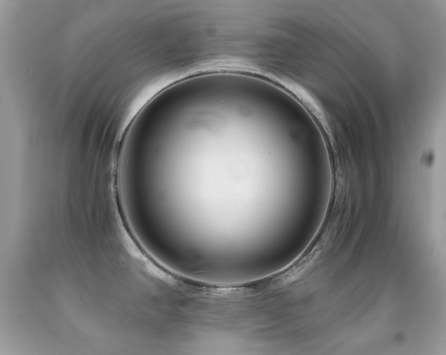X0000092021390200709061544