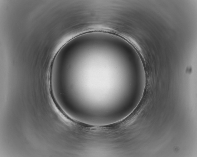 X0000092021391200709061544