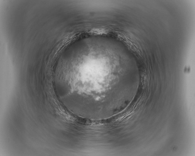 X0000092021393200709061544