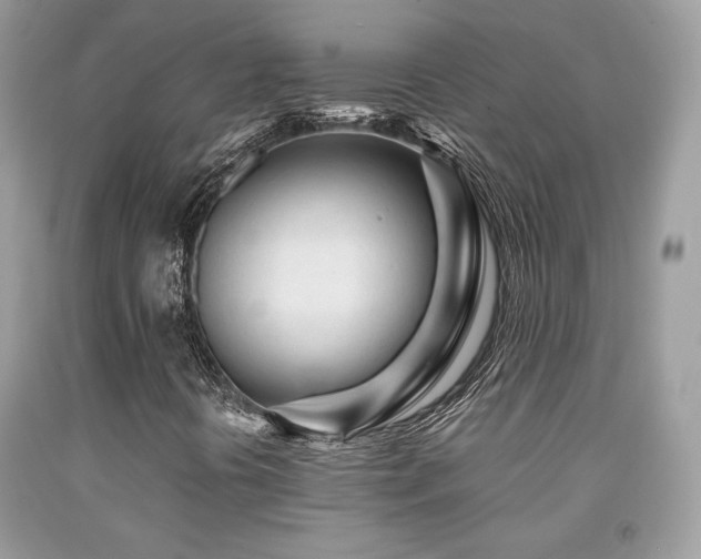 X0000092021394200709061544