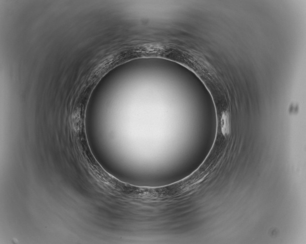 X0000092021395200709061544