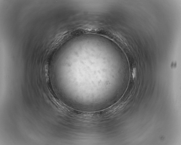 X0000092021396200709061544