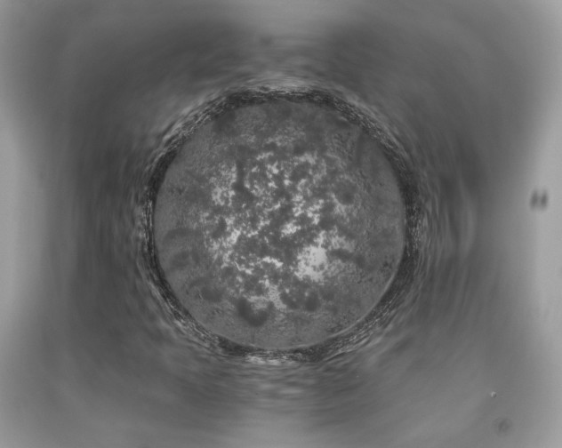 X0000092021397200709061544
