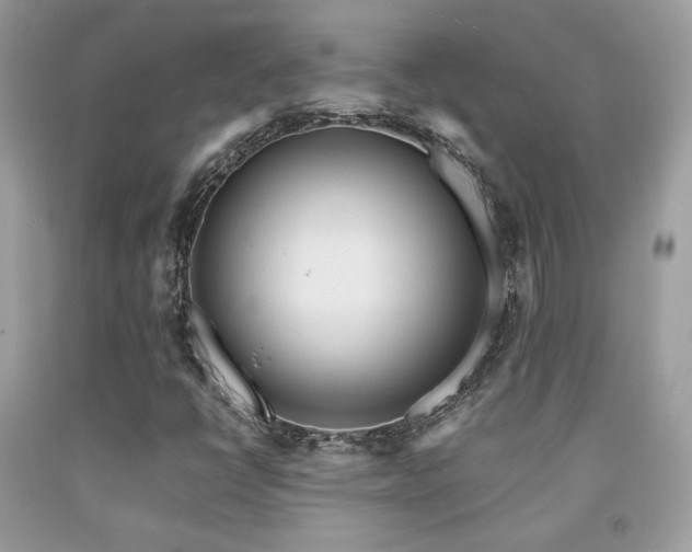 X0000092021398200709061544