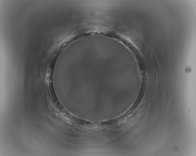 X0000092021399200709061544