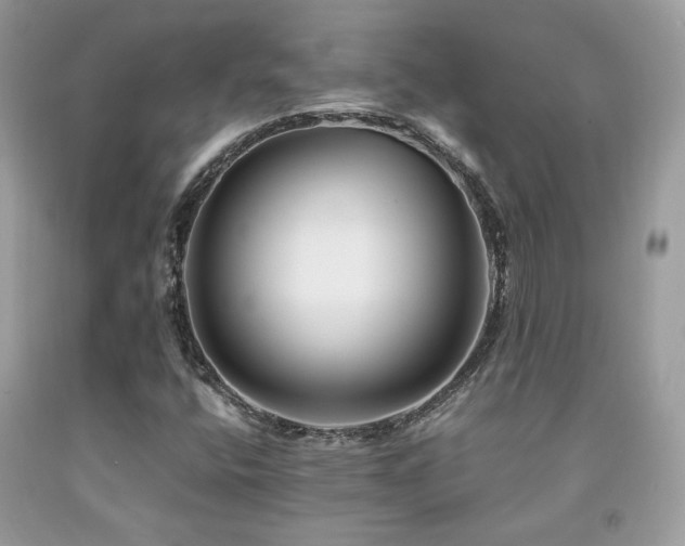 X0000092021400200709061544