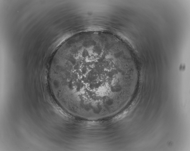 X0000092021401200709061544
