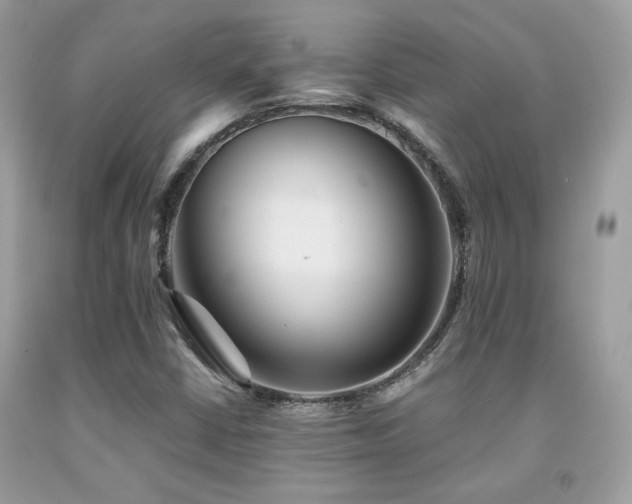 X0000092021402200709061544