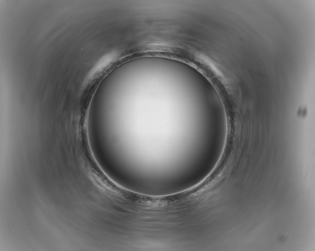 X0000092021403200709061544